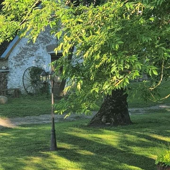 B&B Rando & Kaerdi Juures Oue Lyuganuse Exteriér fotografie